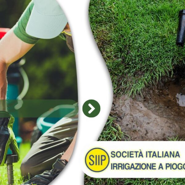 Impianti di irrigazione SIIP - Manutenzione impianti di irrigazione